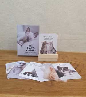 WISE CATS LITTLE AFFIRMATIONS  CARD BOX