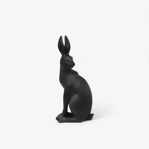 HAROLD THE HARE TURNING BLACK