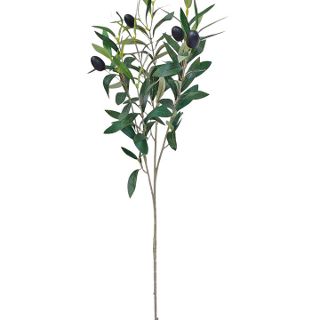 OLIVE BRANCH 70cm