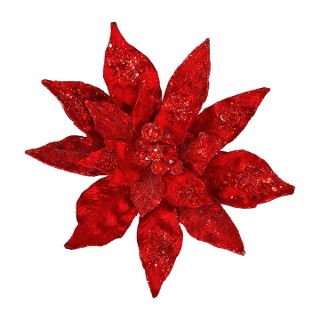 POINSETTIA  GIANT RED Heirloom
