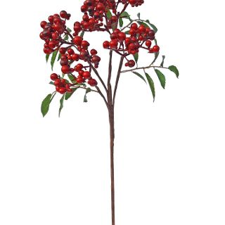 PEPPER BERRY SPRAY RED