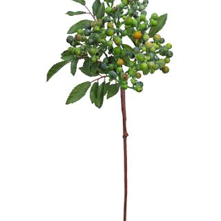 PEPPER BERRY SPRAY GREEN