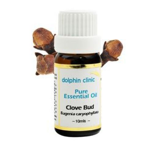 CLOVE BUD ESS OIL 10ML