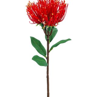 POHUTUKAWA SPRAY SML