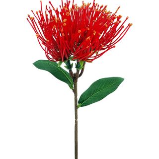 Pohutukawa Spray MINI