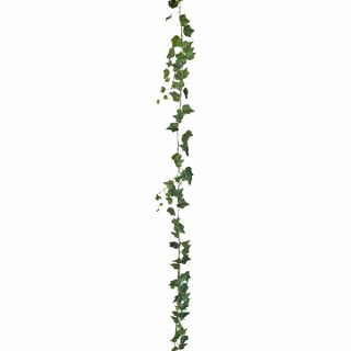 Ivy Garland