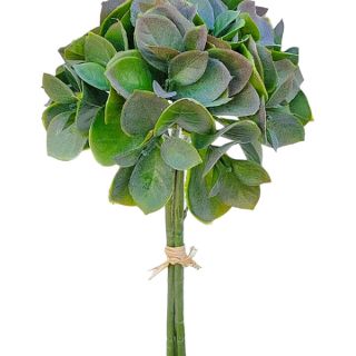 ICE PLANT PETITE FOLLIAGE