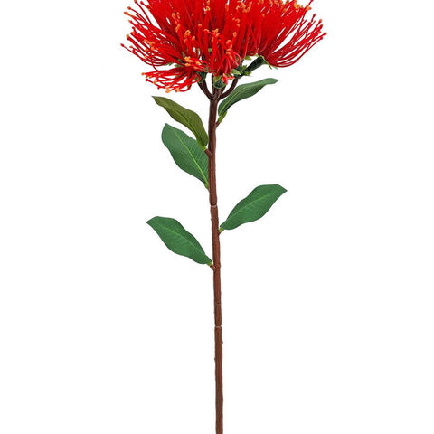 POHUTUKAWA SPRAY MEDIUM