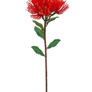 POHUTUKAWA SPRAY MEDIUM