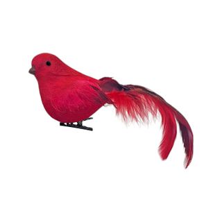 BABY ROBIN - RED