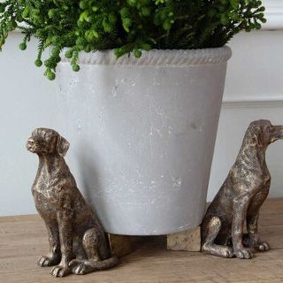 RALPH DOG POT STAND SET/3