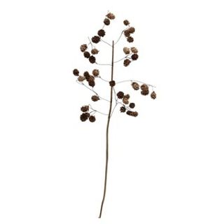 PINECONE BRANCH BROWN