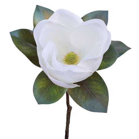 MAGNOLIA SHORT STEM WHITE
