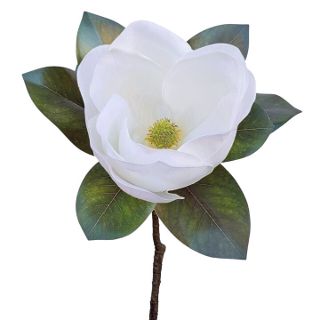 MAGNOLIA SHORT STEM WHITE
