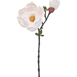 TREE MAGNOLIA BRANCH PINK