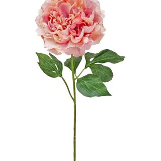 BLOOMING PEONY VINTAGE PINK
