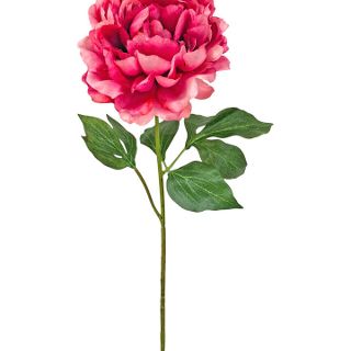 BLOOMING PEONY CORAL