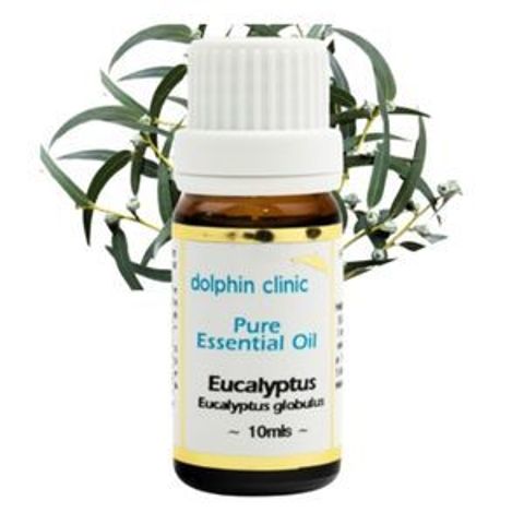 EUCALYPTUS ESS OIL 10 ML