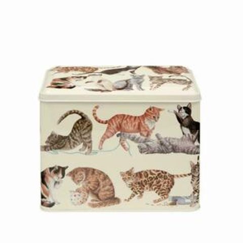 CAT STORAGE EB